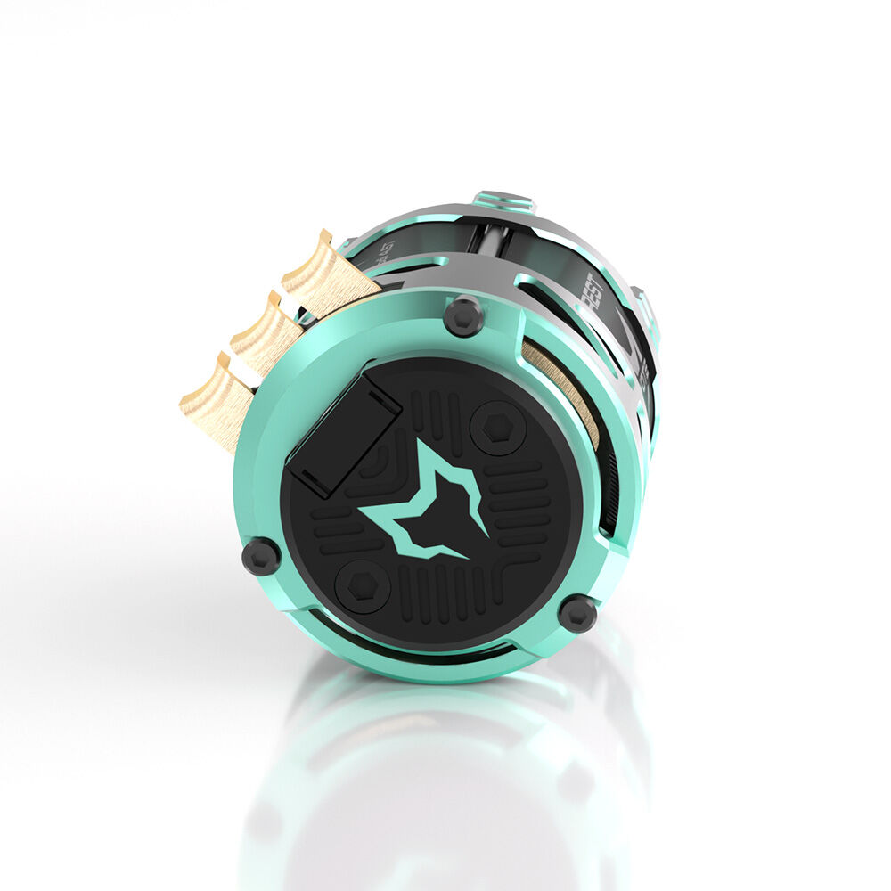 Cayote Crest Modi Brushless Motor (4)