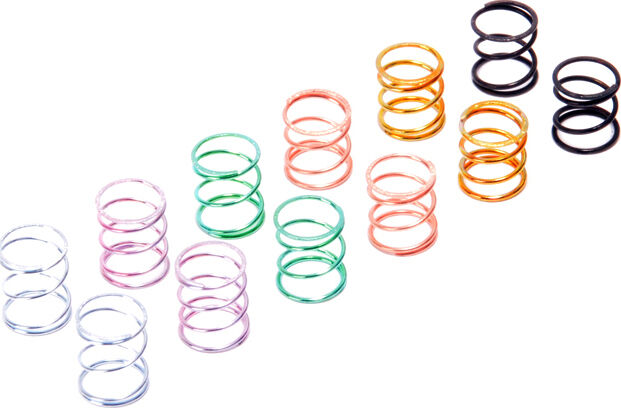 Schumacher Eclipse 6  Federn Set Vorne