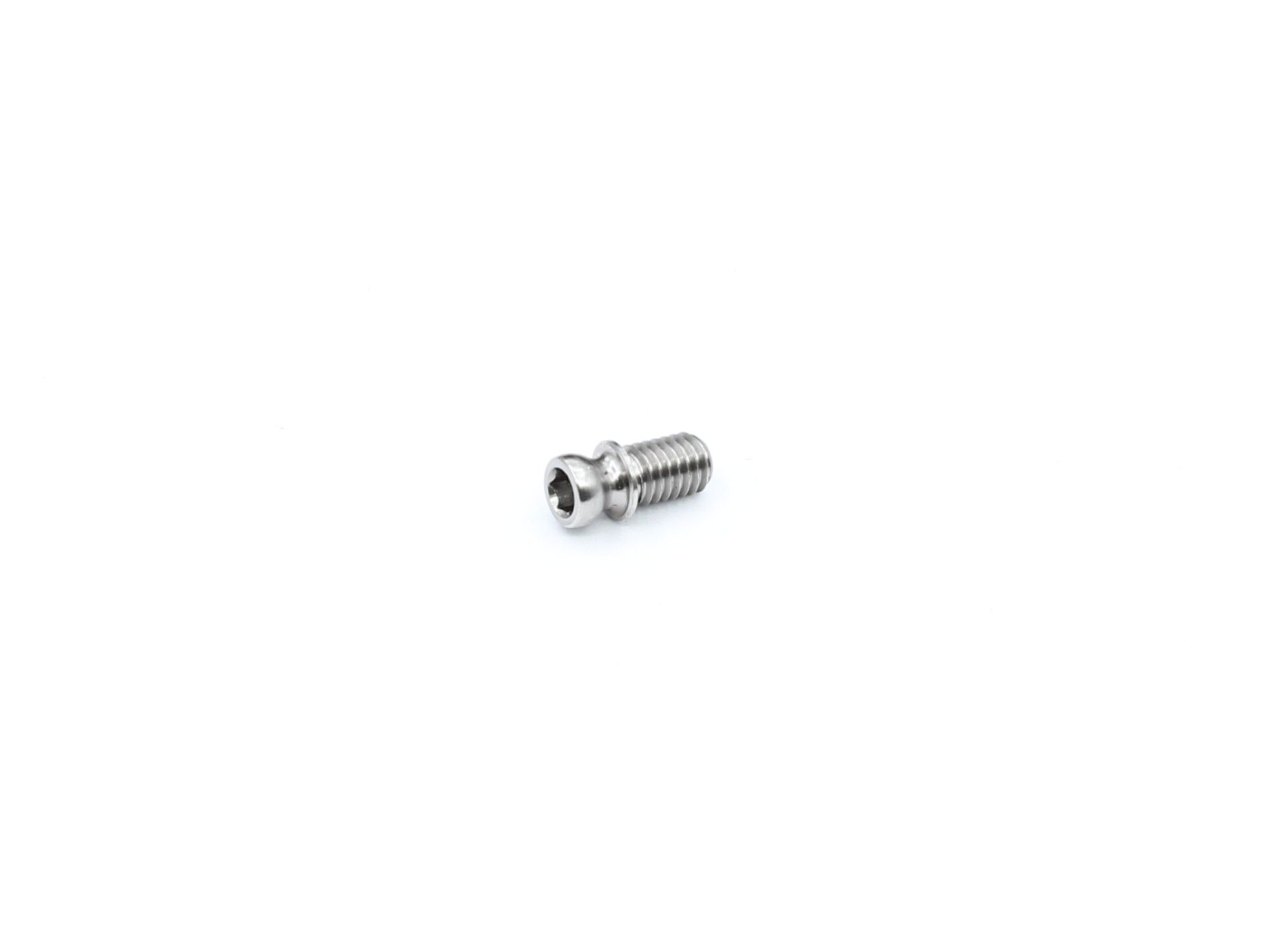 Roche Rapide P12V3 Center Pivot Ball Titanium (1)