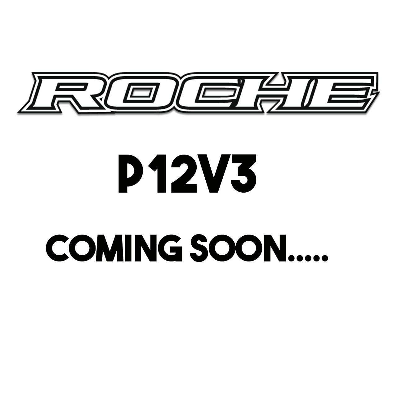 Roche Rapide P12V3 Pan Car Baukasten 1:12