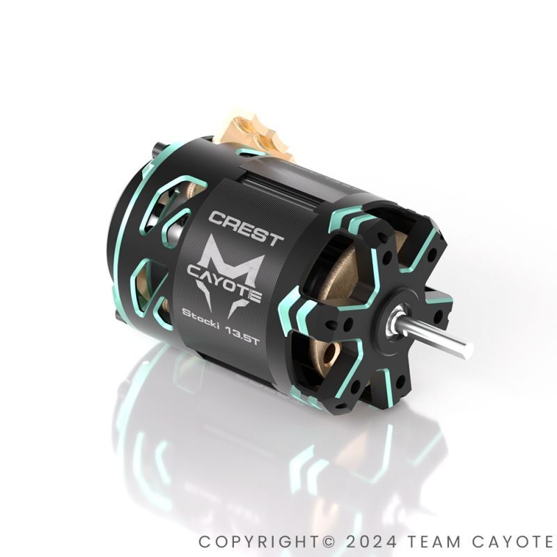 CYEB11013 CAYOTE Crest Stocki 21.5T Brushless Motor