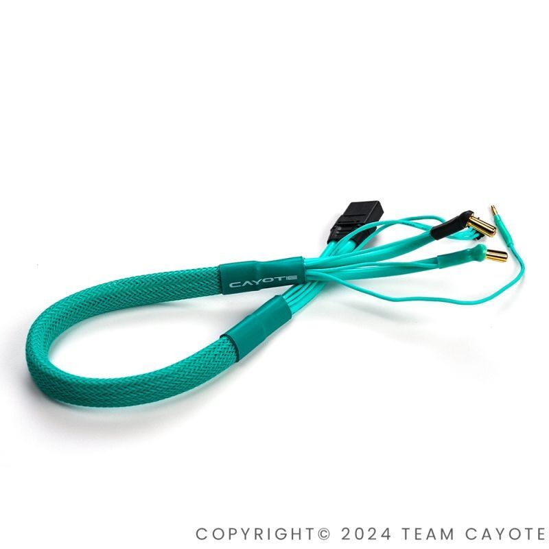 CAYOTE Power-Ladekabel 2S 5mm mit XT60 Stecker 450mm Aurora Grün (1)