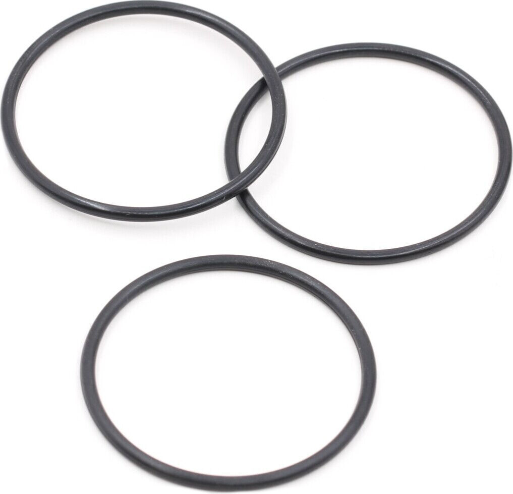 Roche Rapide P12V2 Battery Holder O-Ring (3)
