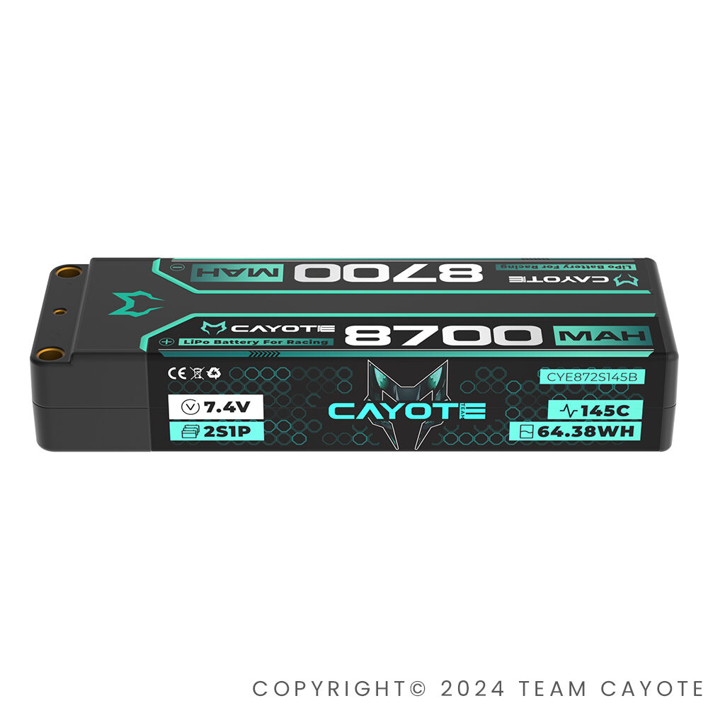 CYE872S145B (3)